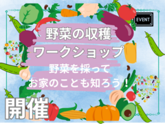 野菜の収穫！家族で野菜収穫体験とお家のことも知ろう！のメイン画像