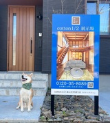 桐のぬくもりを体感！ペットと幸せに暮らす住まい見学会のメイン画像