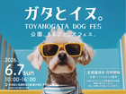 【ガタとイヌ。】TOYANOGATA DOG FESのメイン画像