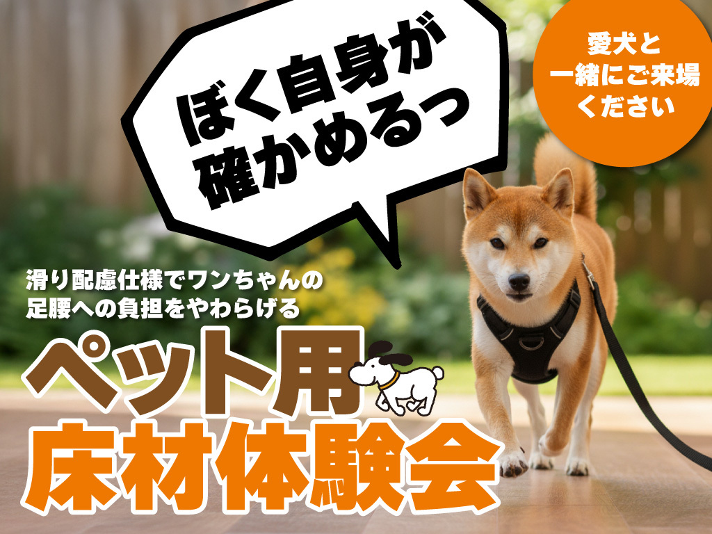 ペット用床材体験会【猫壁（にやんぺき）の展示もあるよ】