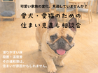 愛犬・愛猫のための住まいの見直し相談会のメイン画像