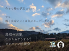 鳥取の実家、これからどうする？のメイン画像