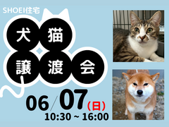【1日限定】6/7(日)犬猫譲渡会！ペットとの暮らし相談会ものメイン画像