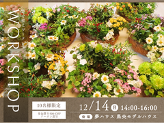 クリスマス・お正月にぴったり！ハンギングリースworkshopのメイン画像