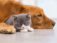 愛犬・愛猫のための家づくりカフェ【新築・リフォーム・お庭】のメイン画像