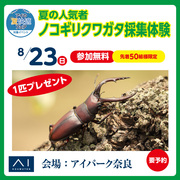 アイパーク奈良　ノコギリクワガタ採集体験のメイン画像