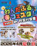 わんだふる春フェスタのメイン画像