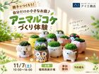 福岡西展示場　自分だけの小さなお庭♪アニマルコケづくり体験のメイン画像