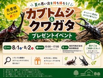 カブトムシ＆クワガタ　プレゼントイベントのメイン画像