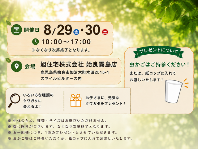 クワガタ　プレゼントイベントのメイン画像