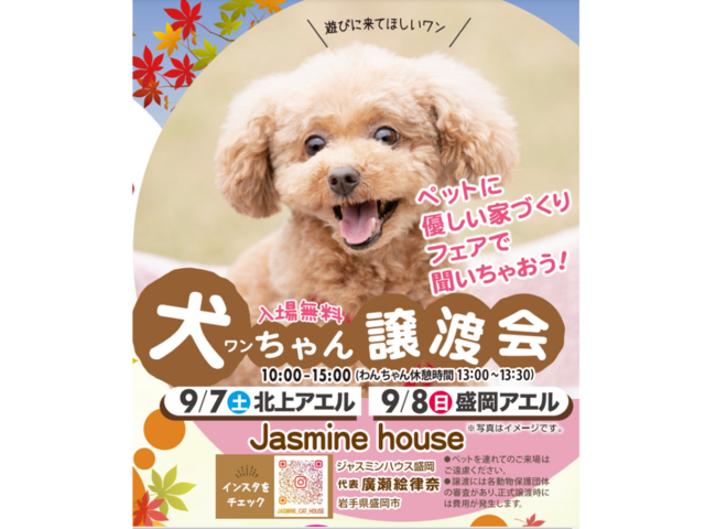 【全2会場】ひと足早い 秋の住宅祭のメイン画像