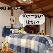 【１日１組限定】わたりんと一緒にお泊り体験！～木の香りに包まれる、ホッとする暮らしのヒント～のメイン画像