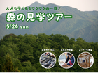 【森の見学ツアー】大人も子どももワクワクの一日！のメイン画像