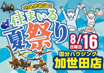 【加世田店限定】住まいる夏祭りのメイン画像